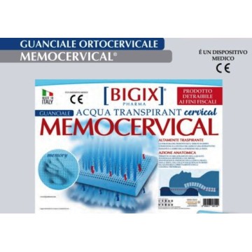 Guanciale Memocervical...